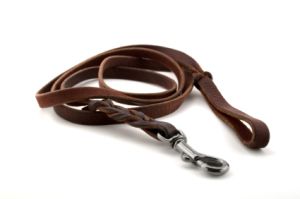 dog leash