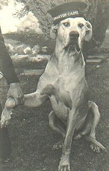 Royal Navy Great Dane